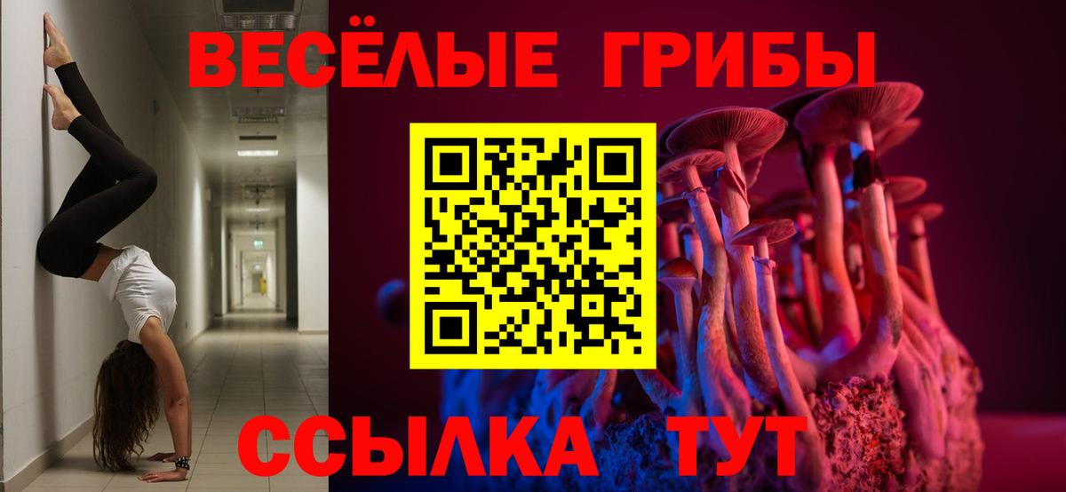 Галлюциногенные грибы MAGIC MUSHROOMS  Галлюциногенные грибы MAGIC MUSHROOMS  Губкинский  Вход с VPN 